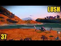 No Man s Sky - This System Has Three Lush Planets 2022 Sentinel Gameplay