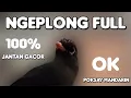Download Lagu Poksay Mandarin Gacor Ngeplong... Cocok Buat Pancingan Pikat, Ampuh Terbukti Terbaru 2022...