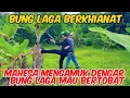 Download Lagu BANG REY TERBARU SATU PERSATU BERTOBAT REYMONDO DAN BUNG LAGA TINGGALKAN MAHESA#bangreylampung