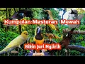 Lagu Masteran kombinasi yang di cari2 kicau mania ,suara jernih ngak bikin stress/pusing #masteran