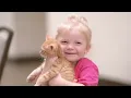 Humane Society of North Texas
