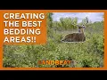 Create The PERFECT Bedding Area For Deer