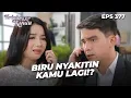 Download Lagu KECEWA! Amira Ngaduin Kelakuan Biru Ke Elang | TERBELENGGU RINDU | EPS. 377 (1/4)