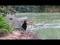 Download Lagu Camping hujan deras angin kencang mancing di sungai kalimantan yang banyak ikannya