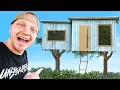 Download Lagu Spending $100,000 on the Tallest Treehouse
