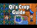 500 QI BEANS IN ONE WEEK - Qi s Crop Guide