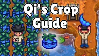 500 QI BEANS IN ONE WEEK - Qi s Crop Guide