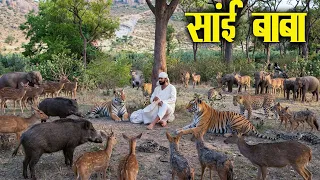 शिरडी के जंगल में साईं बाबा ने सब जंगली जानवरों को क्यों बुलाया | Shirdi Sai Chamatakar |