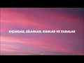 CAN KOÇ- GÖKYÜZÜNÜ TUTAMAM (lyrics/sözleri)