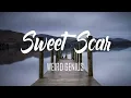 Download Lagu Weird Genius - Sweet Scar ft. Prince Husein dan Terjemahan