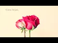 Download Lagu Intan Norul - Cinta Sejati [OST Suamiku Mr. Blind]