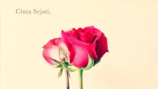 intan norul cinta sejati ost suamiku mr blind 