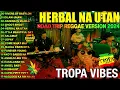 HERBAL NA UTAN x CUPID x UHAW REGGAE💥REGGAE TROPAVIBES COVER ALBUM💔REGGAE NONTOP PLAYLIST 2024