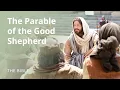 John 10 The Good Shepherd and Other Sheep I Have The Bible