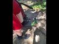 Derik fin icing his 🛴 lol