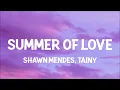 Shawn Mendes, Tainy - Summer Of Love (Lyrics)