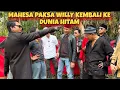 Lagu TERBARU BANG REY LAMPUNG, WILLY DI PAKSA MAHESA UNTUK KEMBALI KE DUNIA HITAM
