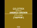 It's Love (Trippin') (Original Radio Edit) (feat. Andrea Brown) - Goldtrix