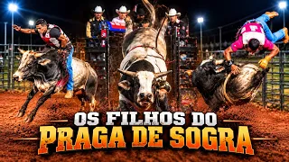 Desafio !!!! 1 PRAGA DE SOGRA JÁ INCOMODA MUITO PEÃO… IMAGINA 5 ??🐂🔥”