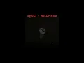 SAULT - Wildfires