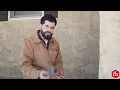 How to Use Steel Wool for Pest Control