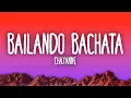 Download Lagu Chayanne - Bailando Bachata