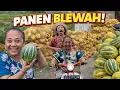 Lagu BANUNG HADIR LAGI YA LUR || BANUNG LAGI MELU PANEN BLEWAH || BUKA PUASA PERTAMA BARENG KELUARGA