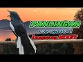 Download Lagu Terapi kacer ngeplong, Pancingan kacer, Masteran kacer cepat bikin gacor durasi panjang