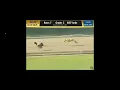 Trackinfo Race Replays Greyhounds Google Chrome 2022 09 05 19 55 29
