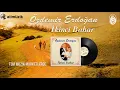 Özdemir Erdoğan - Keman Öğretmeni (İkinci Bahar Yeni Baskı Plak)