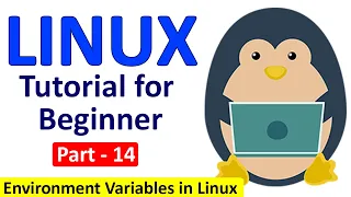 Linux Tutorial for Beginners Part - 14 Environment Variable in Linux