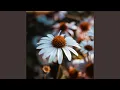 Download Lagu Far Beyond These Windswept Fields (Original Mix)