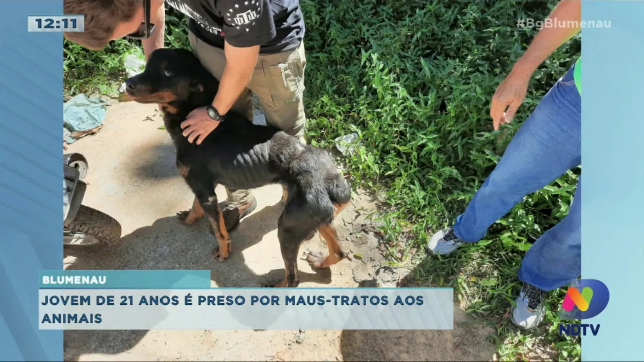 Polícia flagra jovem maltratando cães em Blumenau