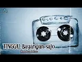Download Lagu MINANG ORIGINAL - TINGGAL BAYANGAN SAJO