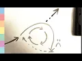 Escape tutorial - RIGHT NOW