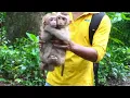 Download Lagu Yat runs to forest take Angela and Abby back we are running help if they stay far they cry dog hit