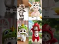 Download Lagu Mèo nhảy nhạc xe máy | Cat dancing to motorcycle music #cat #kids #trending
