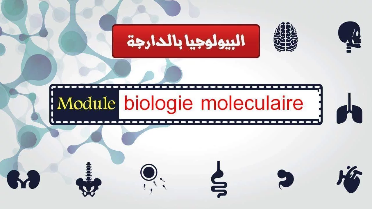 Biologie moléculaire partie 10 la traduction |البيولوجيا بالدارجة