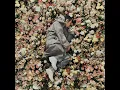 F(ucked up) (Feat. Gaeko, GRAY) (F(ucked up) (Feat. 개코, GRAY))