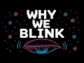 Every Confusing Thing About Why Blinking Doesn t Make Things Dark Explained Slowly For Sleep
