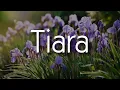Download Lagu Kris - Tiara (Lirik Video)