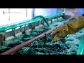 Lagu Chrome Plating Process I Gadhia Agencies I REDOX REATION PVT. LTD. RAJKOT