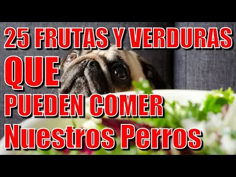 Download MP3 Lista: 25 frutas y verduras que pueden comer nuestros perros