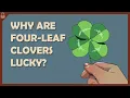 Why are Four-Leaf Clovers Lucky