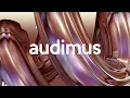 BISCITS - Locco