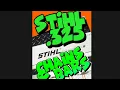 Stihl 325 chain 050 vs 063 New Stihl light bars for MS 250 251 261 271 291 New changes