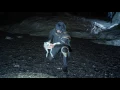 FFXV Rainbow Frog Locations
