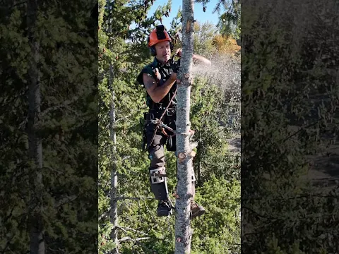 #logger #timberfaller