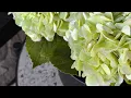 These Faux Hydrangeas Look SO Real Home Decor Review