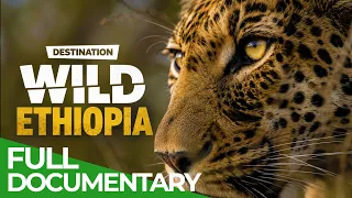 Destination Wild: Ethiopia - Animal Kingdom | Free Documentary Nature